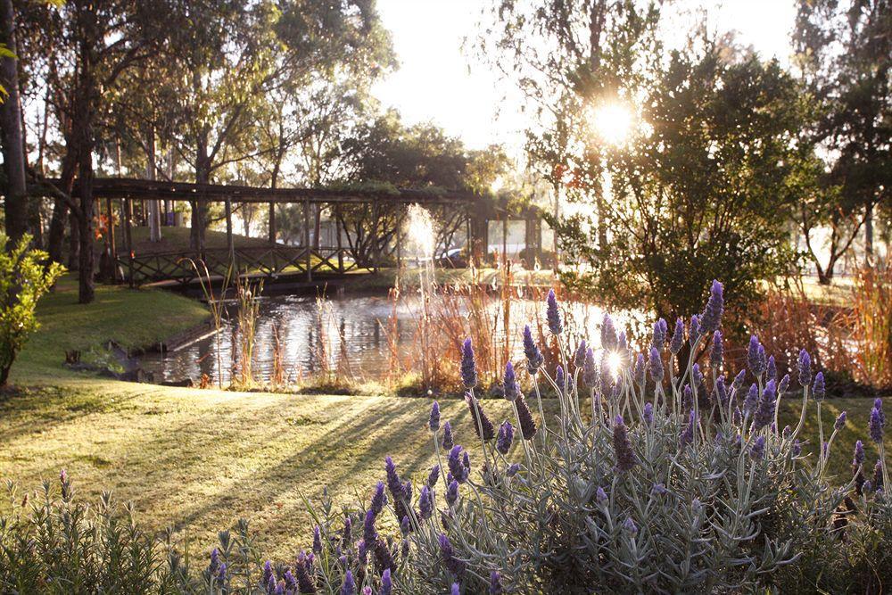 Hunter Valley Resort, Hunter Farm Adventure Centre & 4 Pines At The Farm Pokolbin Eksteriør billede