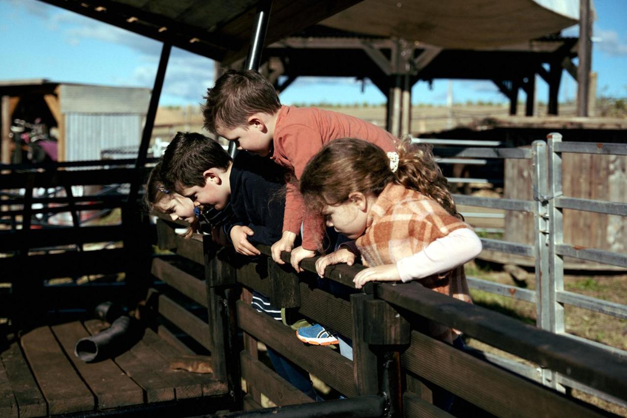 Hunter Valley Resort, Hunter Farm Adventure Centre & 4 Pines At The Farm Pokolbin Eksteriør billede