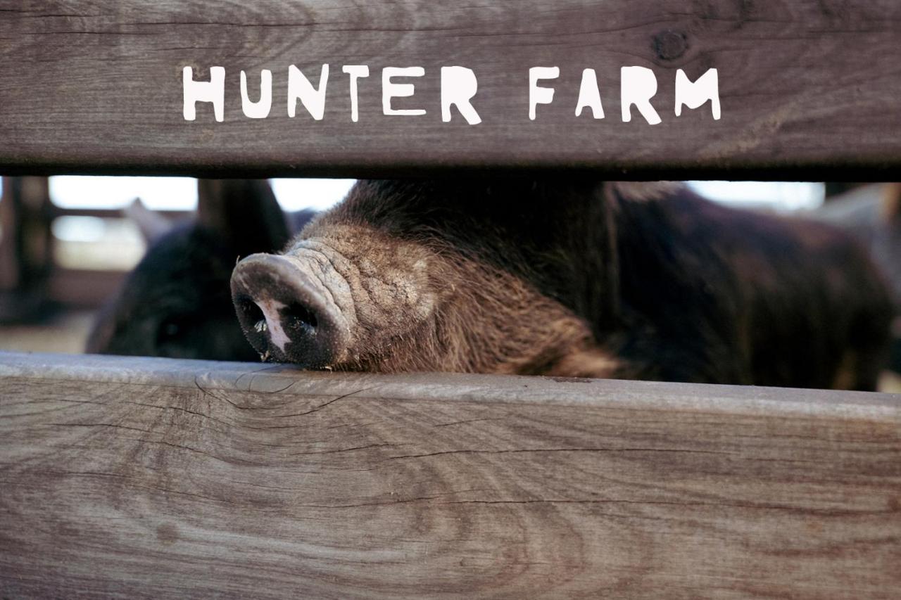 Hunter Valley Resort, Hunter Farm Adventure Centre & 4 Pines At The Farm Pokolbin Eksteriør billede