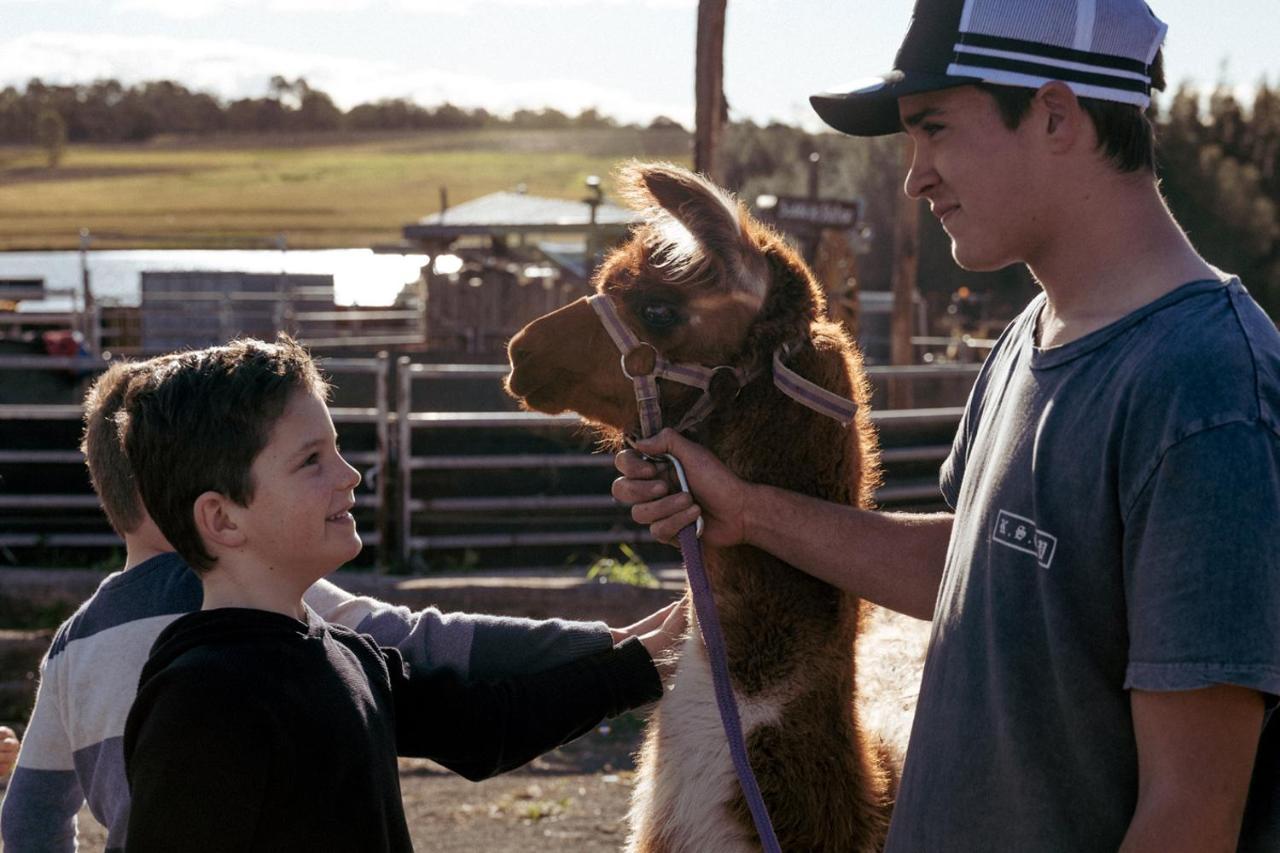 Hunter Valley Resort, Hunter Farm Adventure Centre & 4 Pines At The Farm Pokolbin Eksteriør billede