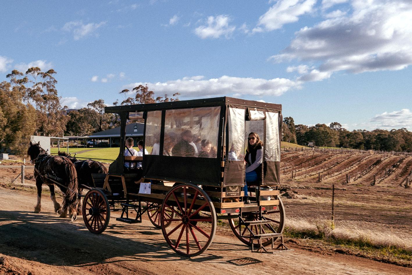 Hunter Valley Resort, Hunter Farm Adventure Centre & 4 Pines At The Farm Pokolbin Eksteriør billede