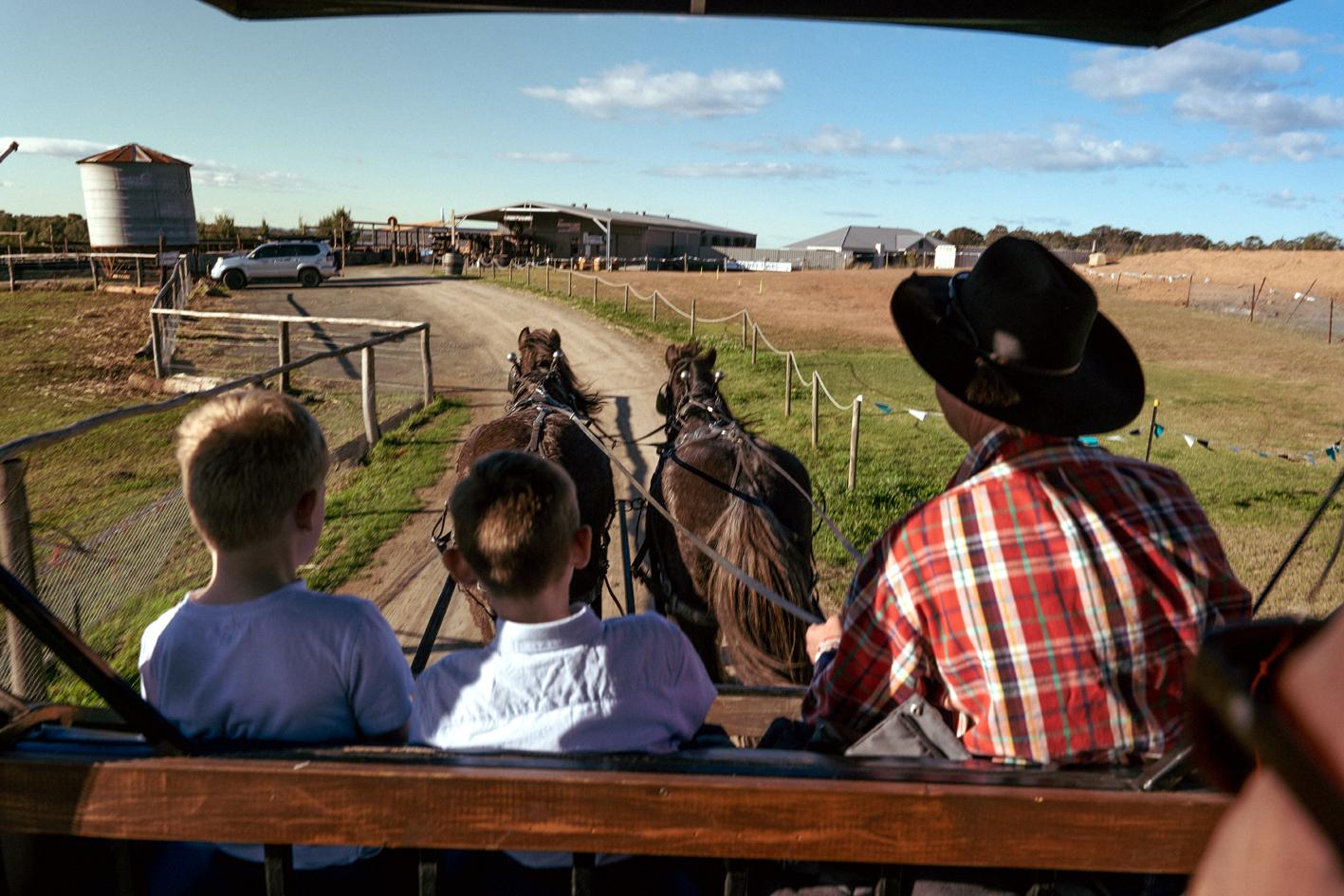 Hunter Valley Resort, Hunter Farm Adventure Centre & 4 Pines At The Farm Pokolbin Eksteriør billede