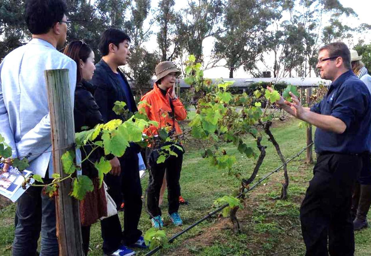Hunter Valley Resort, Hunter Farm Adventure Centre & 4 Pines At The Farm Pokolbin Eksteriør billede