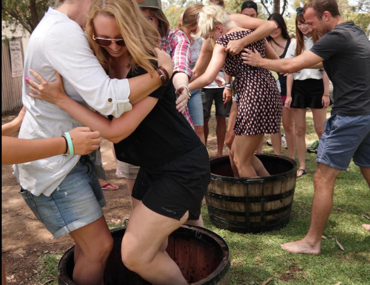 Hunter Valley Resort, Hunter Farm Adventure Centre & 4 Pines At The Farm Pokolbin Eksteriør billede